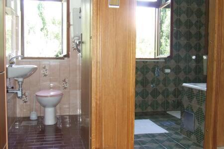 Honey Bee Appartement Cavtat